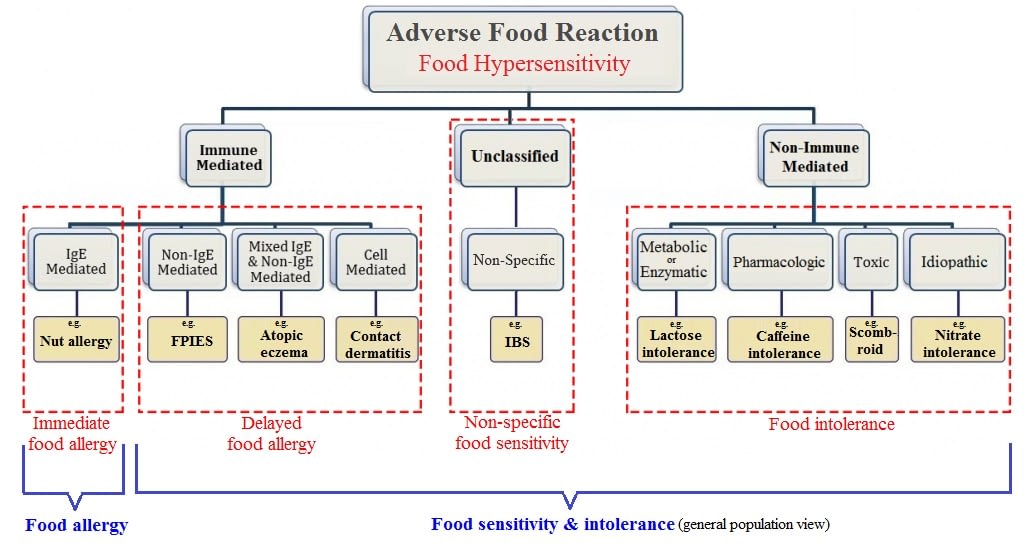 Food Hypersensitivity