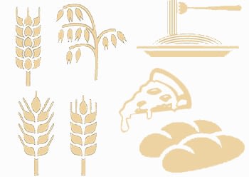 Gluten food item